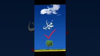 Muhammad best short video #trending #islam #muhammadﷺ #shorts