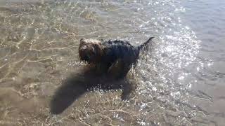 Beadnell Bay Northumberland Walk UK