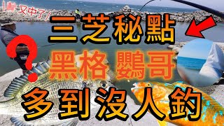 【北海岸海釣】玉堂後面 良型黑格鸚哥釣況分享 (Yutang of Taiwan’s Northern Coast) 2024/06/22 #新埔海堤 @fox54088