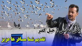 یک نمایش از گشت کفتر ها تقدیم شوقی های عزیز/عبدالباقی سلطانی/026Afghan Shawqi