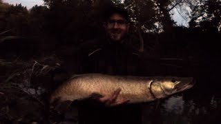 Big Bass + 45inch Musky