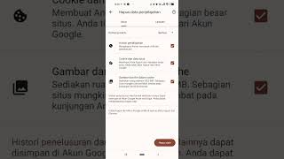 cara clear browsing data, cookies dan cache untuk pelaporan pajak