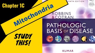 Robbins and Cotran Pathologic Basis of Disease (Chapter 1C - Mitochondria) StudyThis!