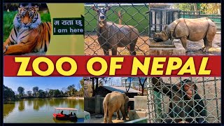 CENTRAL ZOO OF NEPAL /Chidiyakhana /Place to Visit near To Kathmandu | Kathmandu Near Places #nepal