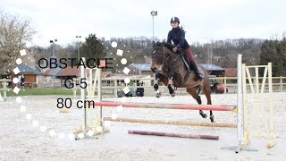 Cours obstacle 80 cm