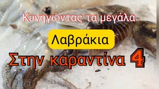 Κυνηγώντας τα μεγάλα λαβράκια | (4)