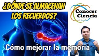 Neurociencia: ¿Donde se almacenan los recuerdos? El paciente HM y cómo mejorar la memoria