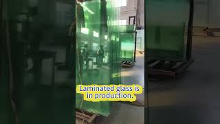 Laminated glass is freshly released #temperedglass #glass#laminatedblades #shorts #shortvideo