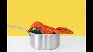 Consider the Lobster by David Foster Wallace (2004) | Essay Narration