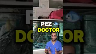 Conoce el Pez Doctor🐟👨🏻‍⚕️