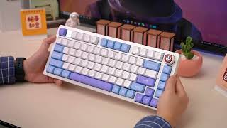 The first custom keyboard for newbies to get started with！AULA-LEOBOG HI75.