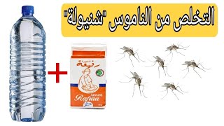 وداعاً الناموس والبعوض(شنيولة) بخطوتين بدون مبيدات مضرة لصيف مريح👌