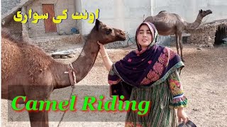 Camel Riding with Kids || Camel Ride for Babies || My first Ride on Camel