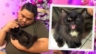 I LOST MY 2ND CAT (MAY CAT VIRUS DAW SA BAHAY) | LC VLOGS #228