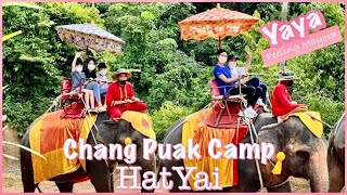 CHANG PUAK CAMP HATYAI- RIDING / FEEDING ELEPHANT (FOR THE FIRST TIME ) / YAYA TRAVEL