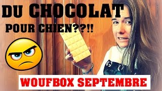 DU CHOCOLAT POUR MON CHIEN??!! - WOUFBOX SEPTEMBRE ✿ Enjoying Life