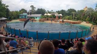 Dolphin Adventure at SeaWorld Orlando 2021