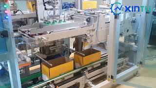 How Our Customizable Pick and Place Top Load Case Packer Transforms Cake Packaging Efficiency?