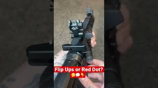 Flip Up Sights or Red Dot? 🤔💬👇