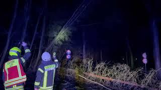 Orkantief Ylenia: Feuerwehr im Landkreis Northeim im Einsatz