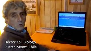 Hector Kol in Chile pledges not to eat farmed salmon