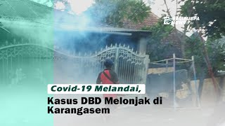 Covid 19 Melandai, Kasus DBD Melonjak di Karangasem