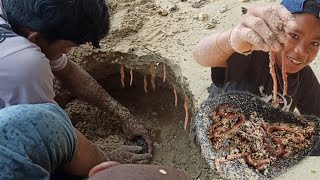 Cara Mencari Cacing Nipa ❗ Umpan Jitu Mancing Dasaran Sekali kasih turun langsung di sambar