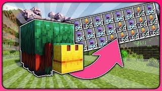 Die BESTE Sniffer Farm in Minecraft 1.21. / Fackellilien Farm