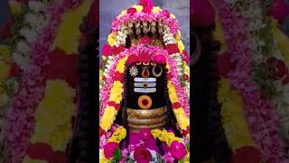 Om Shiva Smbhu | Om Trilochan | Om Gangadharaya| Om Somnath| Sri Mahadev