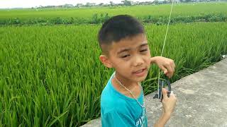 #thành vlogs Trở lại tuổi thơ thả diều trênCánh đồng quê hương của mình