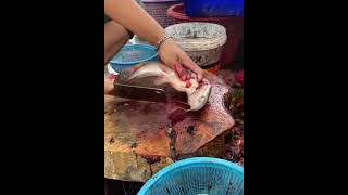 মাছ কাটার অস্থির দৃশ্য।।না দেখলে মিস।।fish cutting skill very hard