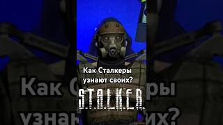 Обзор мода "Встречают по одёжке" в #STALKER