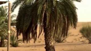 Dubai Desert 4x4 off-road tour vacation- Ryan & Brie Conley 2015 Bitcoin