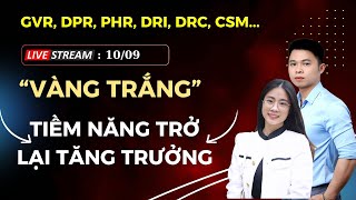 Livestream 10/09: ĐI TÌM TĂNG TRƯỞNG CỔ PHIẾU CAO SU - "VÀNG TRẮNG"