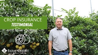 Crop Insurance Testimonial: Tim Schaal