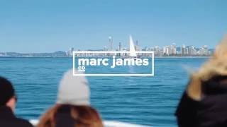 Whale Watching experience by Marc James Co