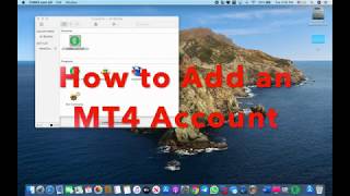 How to Add an MetaTrader Account