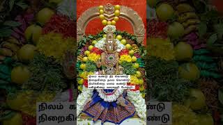 ஓம் வாராஹி தாயே போற்றி போற்றி #வார்த்தாளி #srivarahiammanhistoryintamil #varahiamman108potriintamil