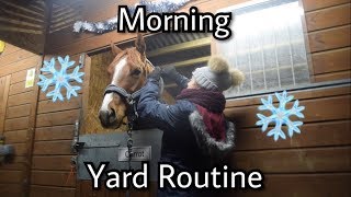 Morning Yard Routine