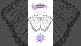 Want to draw a quick butterfly on #procreate ? #best #art #pencilsketch #drawing #painting #sketch