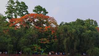 Chandrima Uddan Front Area, Dhaka