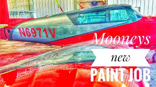 Mooney Aircraft New Paint Job