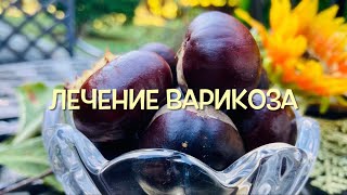 Конский Каштан: Лечение Варикоза / Horse Chestnut 🌰Healing Venous Insufficiency