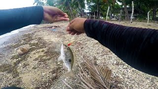 Ang swerte naman ng mga isdang ito | ultralight gaming | capung 622 fishing philipppines | DENZTRIBE