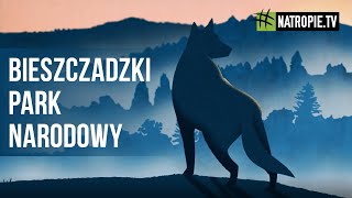 #kierunekwilczegóry | Poszerzyć Bieszczadzki Park Narodowy