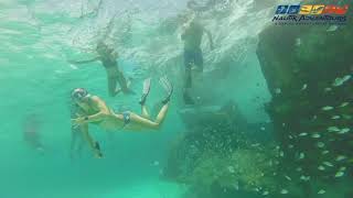 Shipwreck a experience of a sunken ship snorkeling