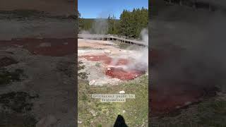 Aesthetic nature sounds in Yellowstone #shorts