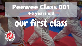 Peewee Karate Class 001 - Join in and learn Karate!