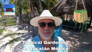 Tropical Gardening In Yucatán México