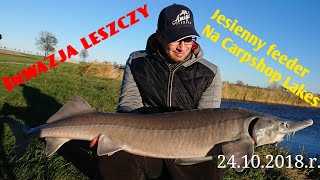 Jesienna inwazja leszczy - wichura | Extru Fish